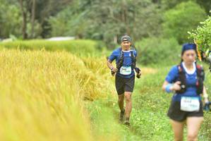 BIB: 1545
                            <button type="button" onclick="openModal(13434999)" class="btn btn-primary btn-sm float-right btn-popup" data-toggle="modal" data-target=".modal-high-quality">
                        <i class="fas fa-shopping-cart"></i> Add to Cart
                    </button>
                                            <button type="button" onclick="isThisMe(13434999, true)" class="btn btn-success btn-sm float-right btn-popup btn-isme hidden" data-toggle="tooltip" data-placement="bottom" title="นี่คือรูปของคุณใช่ไหม คลิกที่นี่เพื่อเอาเข้าอัลบั้ม">
                        <i class="fas fa-plus"></i> Add to album
                    </button>
                    <button type="button" onclick="isThisMe(13434999, false)" class="btn btn-warning btn-sm float-right btn-popup btn-isnotme hidden">
                        <i class="fas fa-ban"></i> Remove from album
                    </button>